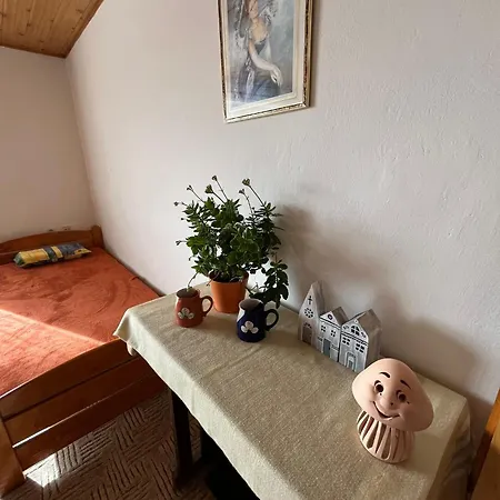 Za Kostelem Lägenhet Zvole (Vysocina)